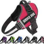 Arn-s-personalizado-para-Bulldog-Franc-s-chaleco-ajustable-para-mascotas-reflectante-transpirable-suministros-para-caminar.webp