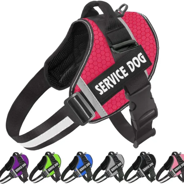 Arn s personalizado para Bulldog Franc s chaleco ajustable para mascotas reflectante transpirable suministros para caminar