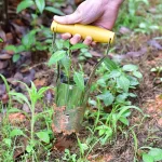 Trasplantador de Plantas  Eficaz para Agrícolas