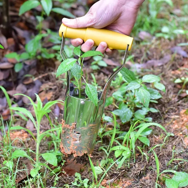 Trasplantador de Plantas  Eficaz para Agrícolas