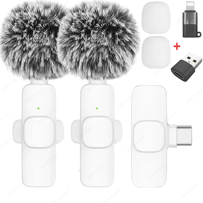 Mini Micrófono Portátil: Calidad De Sonido Excepcional En Un Tamaño Compacto