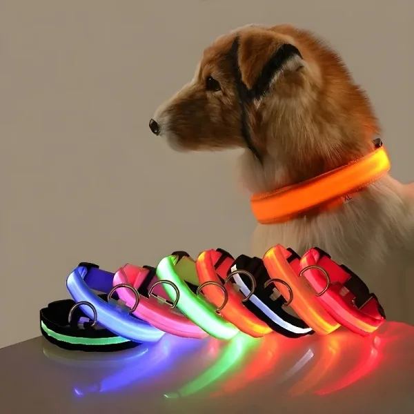 Collar Para Perro De Nailon Led De Seguridad Nocturna Intermitente